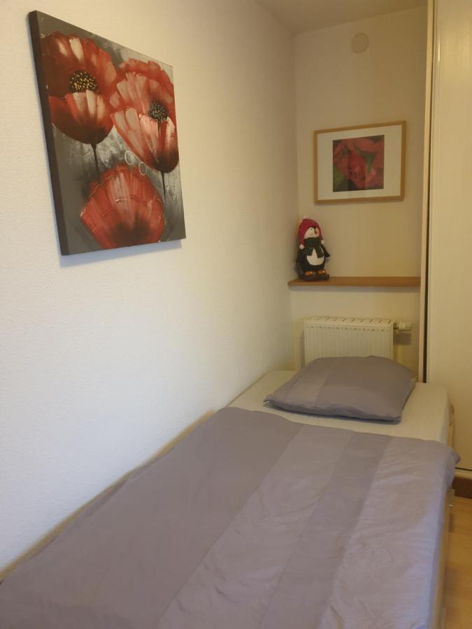 Appartement Proche D'Europa Park/Marches De Noel Rhinau Dış mekan fotoğraf