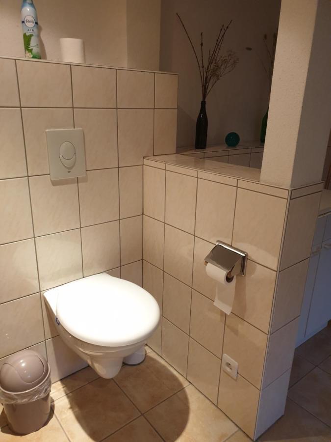 Appartement Proche D'Europa Park/Marches De Noel Rhinau Dış mekan fotoğraf