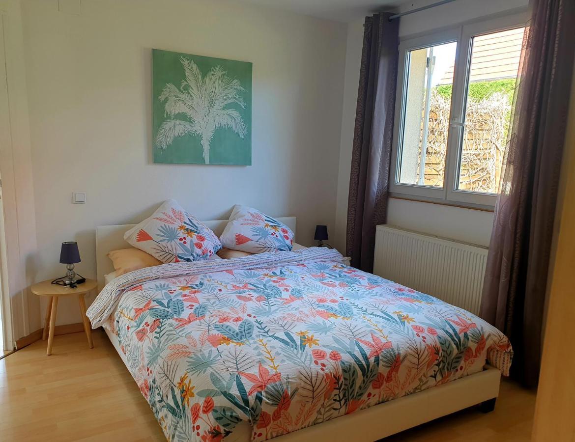 Appartement Proche D'Europa Park/Marches De Noel Rhinau Dış mekan fotoğraf